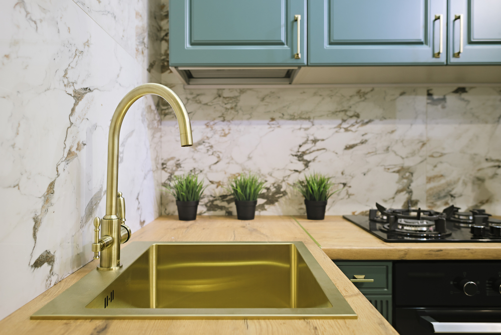 Ants, Mice, and Moths: Identifying Kitchen Pests Before It's Too Late