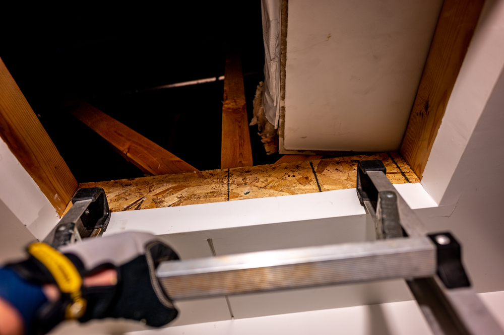 Attic and Crawl Space Inspections: Your First Step Against Stealthy Pests