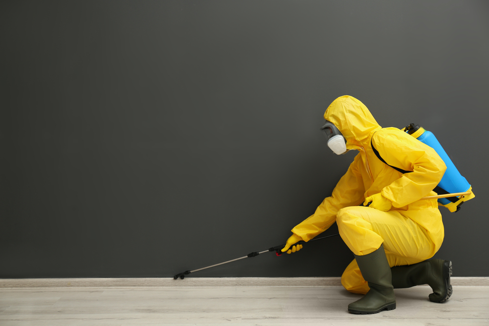 Beyond the Quick Fix: Lasting Solutions to Household Pest Problems