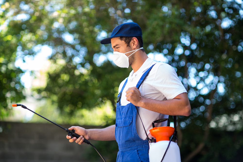 Beyond the Walls: Ensuring a Pest-Free Home with Exterior Inspections