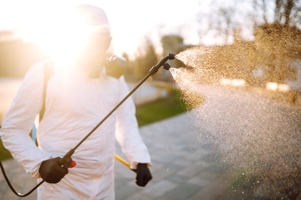 Chemical Termite Treatments