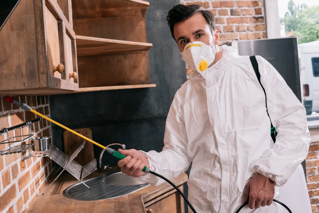 Choosing the Right Pest Control Services
