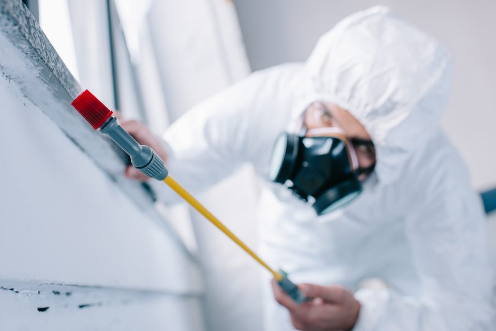 Cost-Effective Solutions for Pest Management