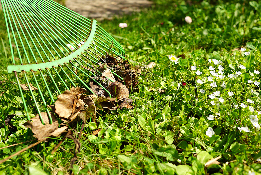 Creating a Pest-Resistant Garden