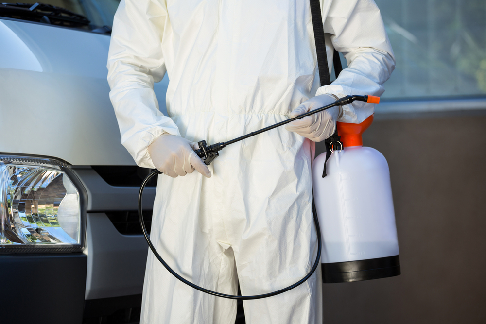 Enlisting Professional Pest Control Services