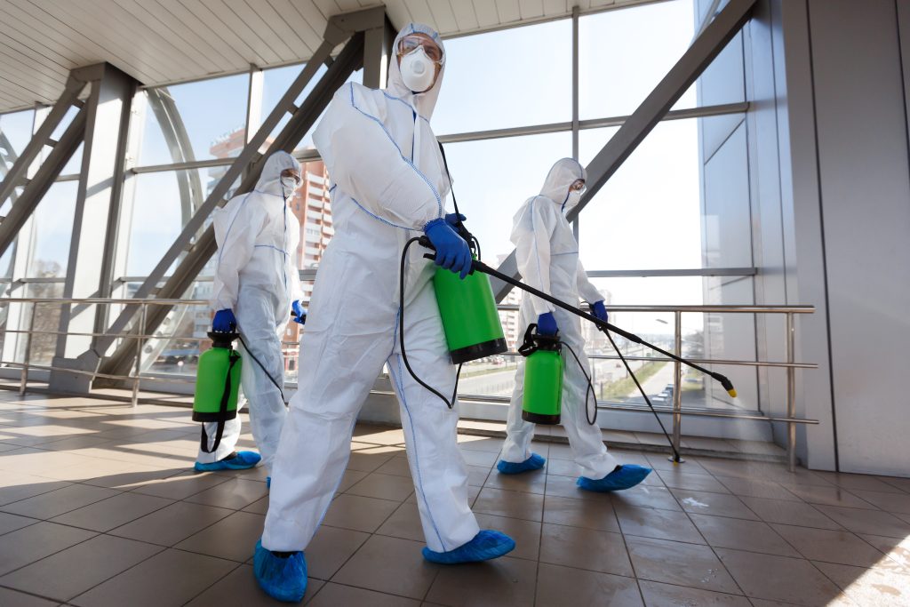 Expert Strategies Integrated Pest Management Solutions in Building Inspections