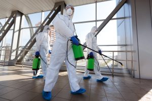 Expert Strategies Integrated Pest Management Solutions in Building Inspections
