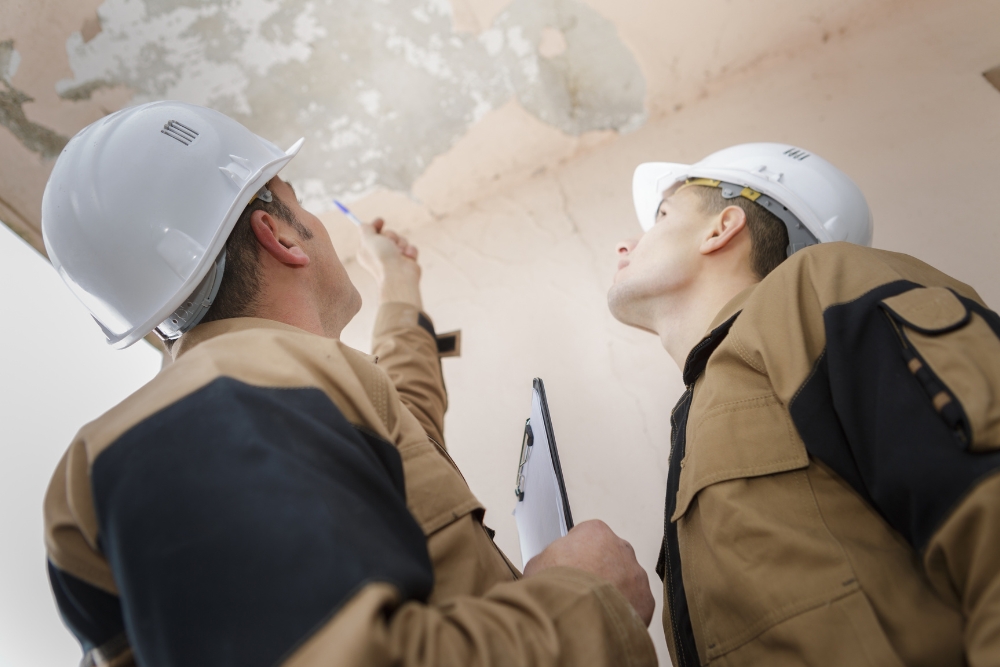 Factors Affecting Inspection Frequency