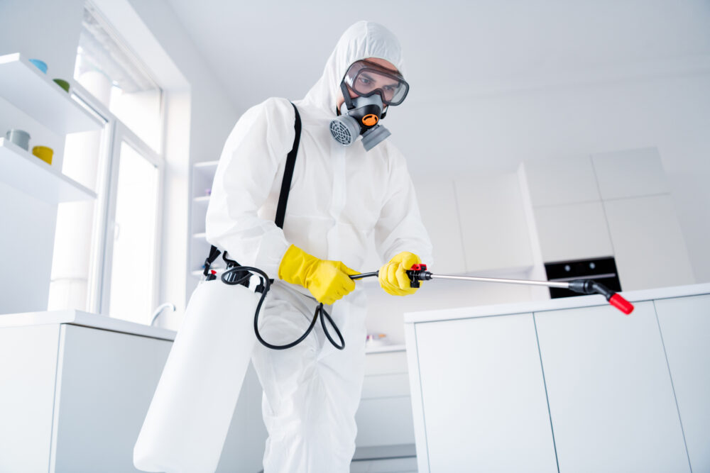 Hiring a Professional Pest Control Provider