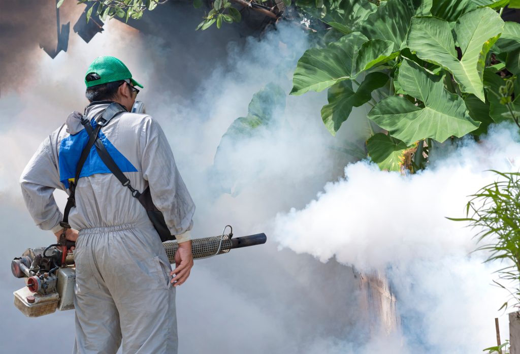 Home Solutions for Mosquito Control