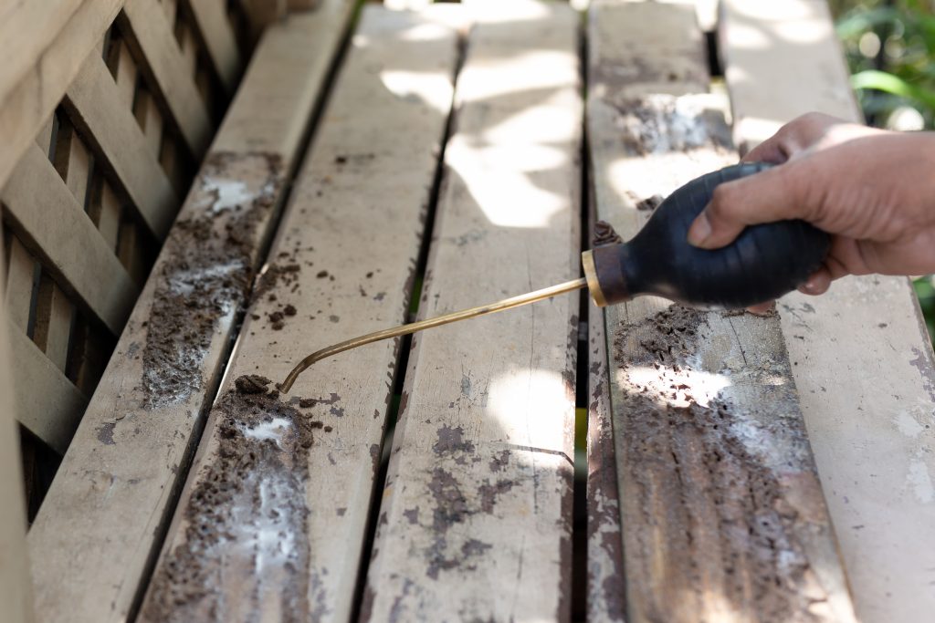 How to Prepare for a Termite Inspection