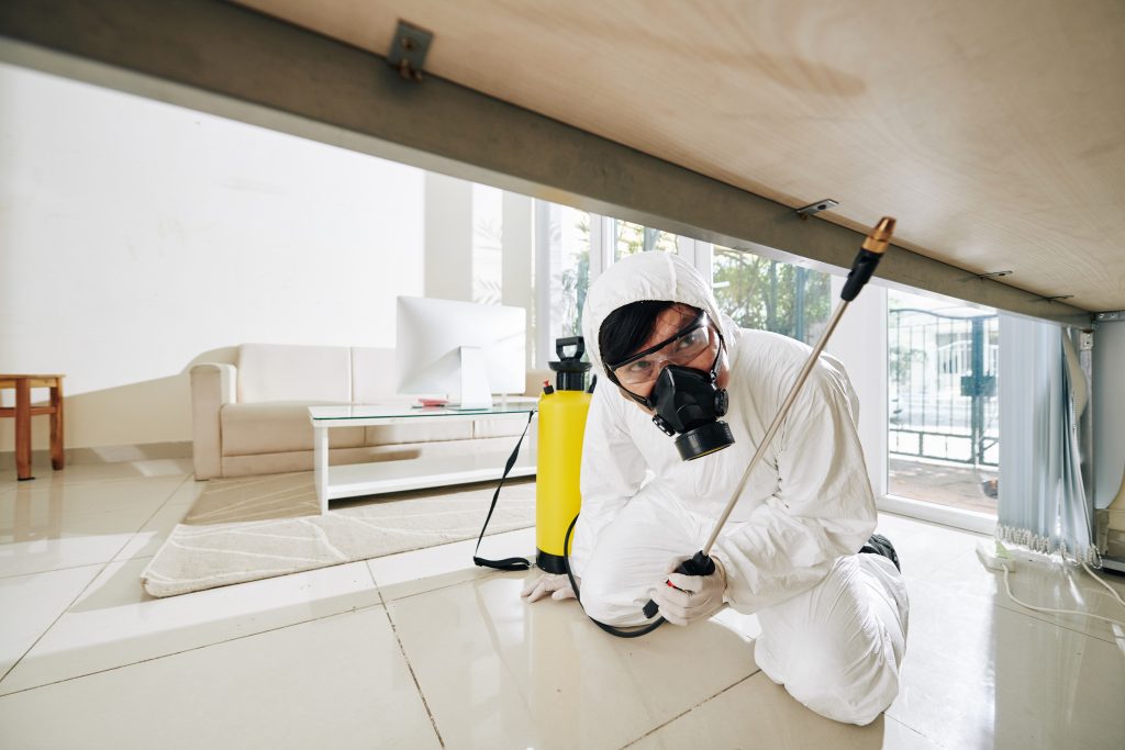 Importance of Pest Management