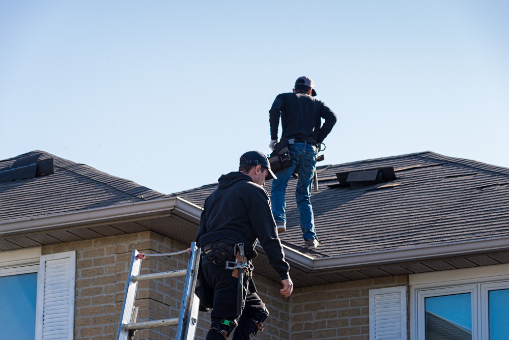 Key Areas to Inspect for Pest Infestations