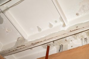 Moisture Matters: Effective Strategies for a Dry and Pest-Free Home