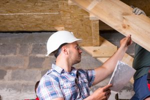 Out of Sight, Not Out of Mind: Pest Inspections for a Healthy Basement