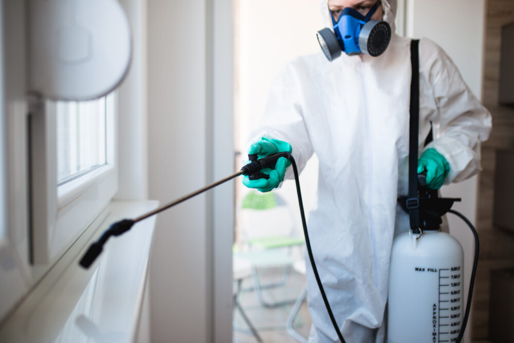 Pest Inspections The Key to Maintaining and Improving Property Value