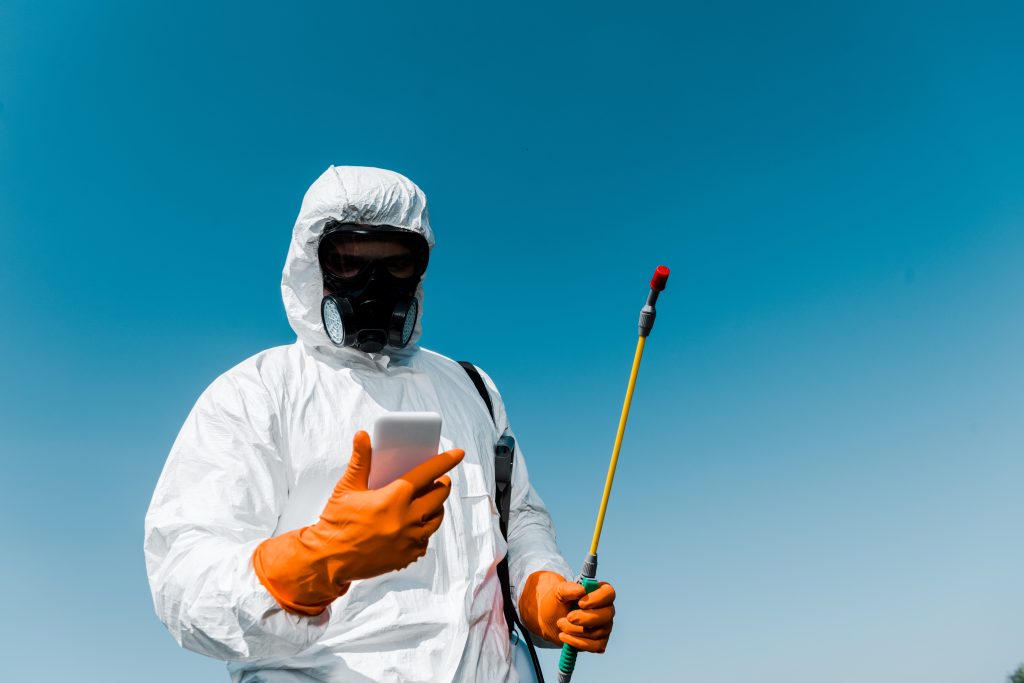 Pest Inspections for Fly Breeding Grounds