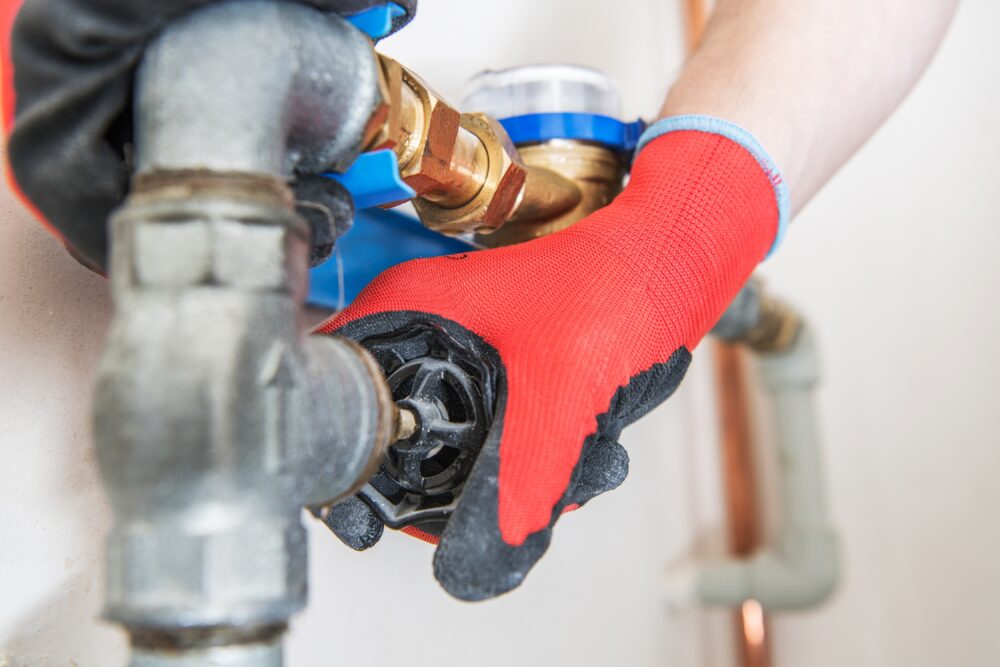 Pest Prevention Tips in Your Pipes