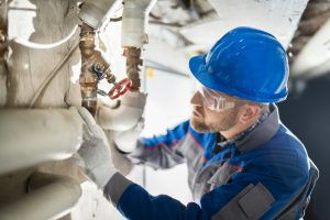 Pipes and Pests: Preventing Unwanted Invaders with Regular Leak Checks