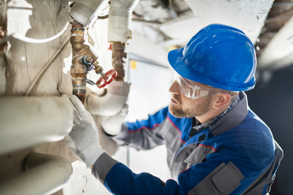 Pipes and Pests: Preventing Unwanted Invaders with Regular Leak Checks