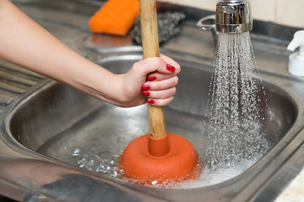 Proactive Pest Prevention for a Safe and Clean Cooking Space