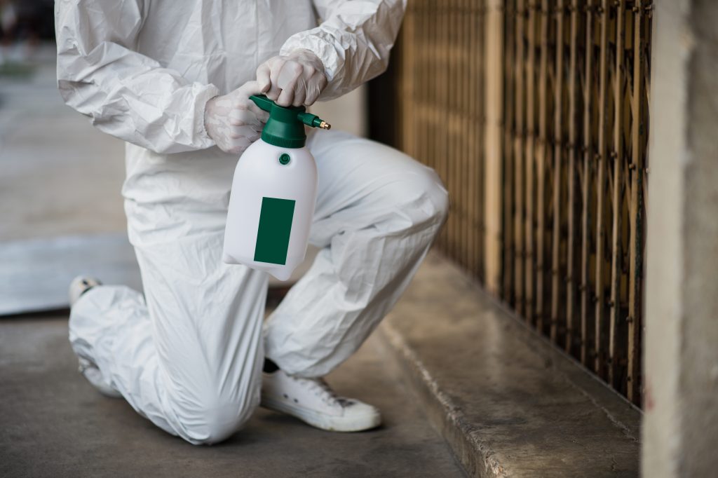 Professional Pest Control Solutions