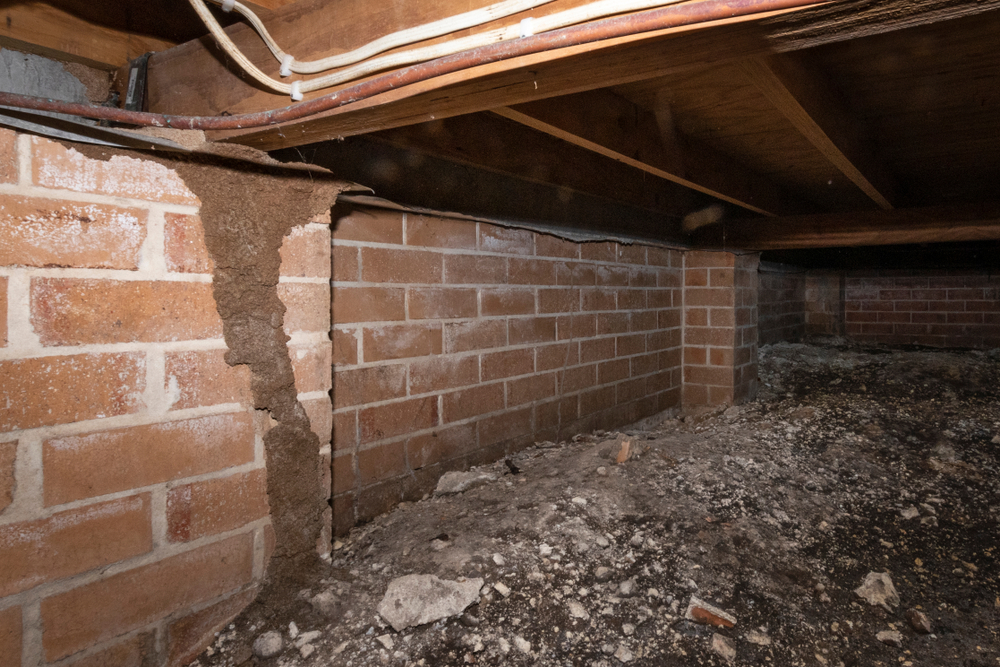Protecting Your Property
