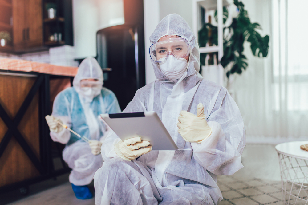 Regular Inspections: The Key to Preventing Infestations