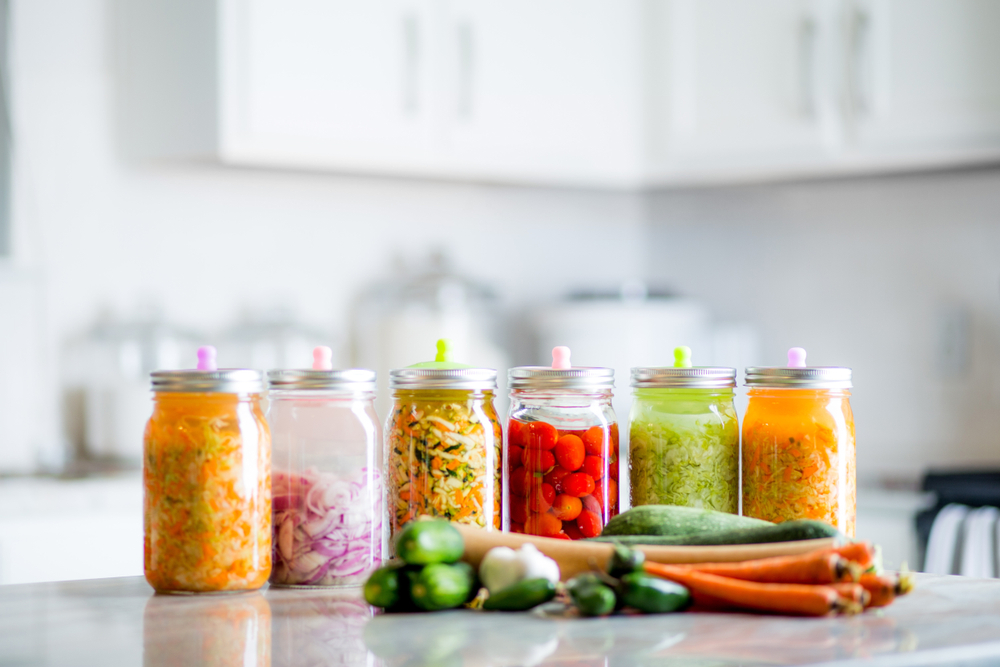 Seal, Store, and Sanitise: Key Tactics to Keep Kitchen Pests at Bay