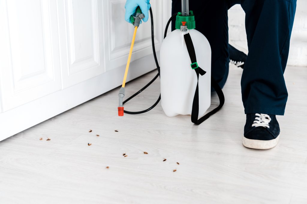 Specialised Commercial Pest Control Services