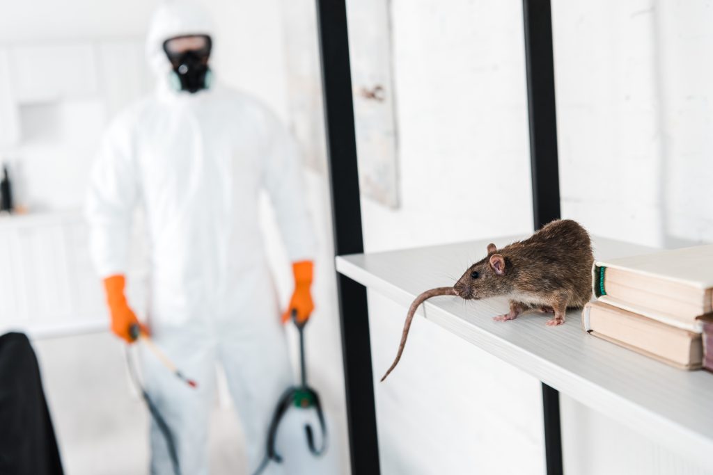 Specialised Pest Control Services