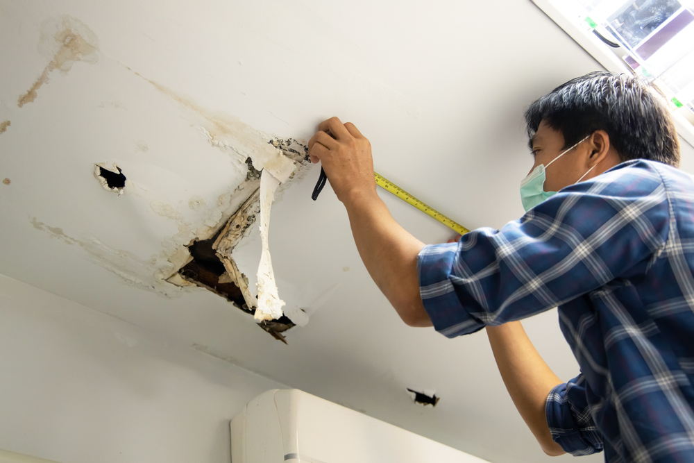 Steps to Conduct an Attic and Crawl Space Inspection