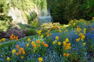 Strategic Garden Landscaping to Keep Household Pests at Bay