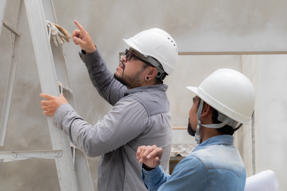 The Detailed Process of Building and Pest Inspections