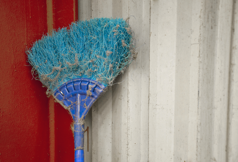 The Impact of Spiders on Pest Inspections