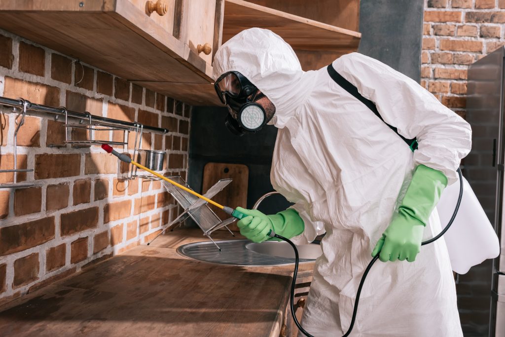 The Importance of Building and Pest Inspections