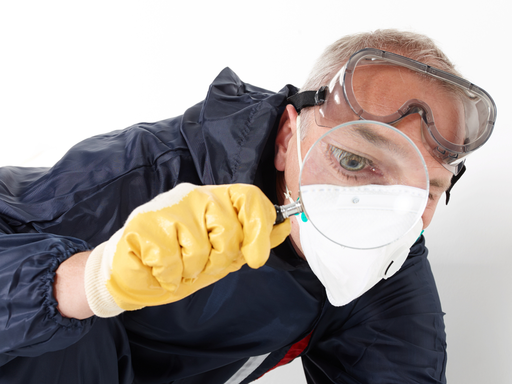 The Importance of Early Detection for Pest Control