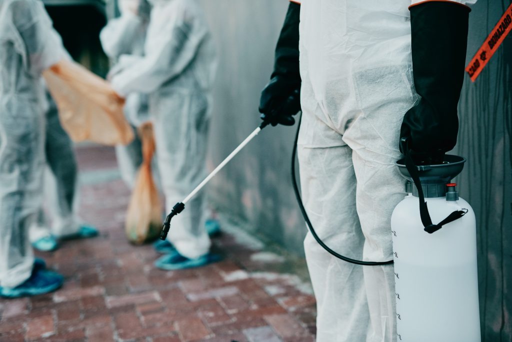 The Importance of Proactive Pest Management
