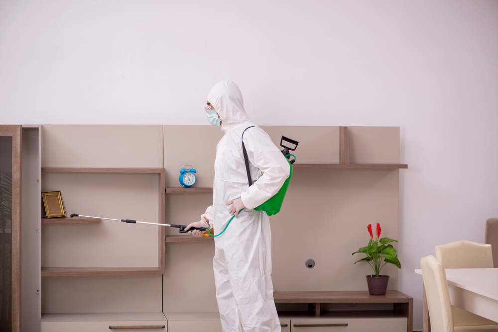 The Role of Pest Inspections in Protecting Public Health