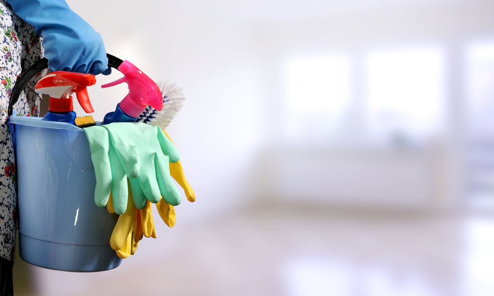 Tips for Preparing Your Home for a Pest Inspection