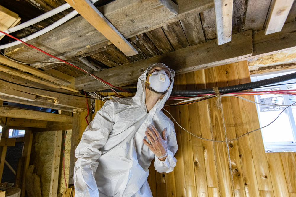 Tools and Methods Used in Comprehensive Pest Inspections