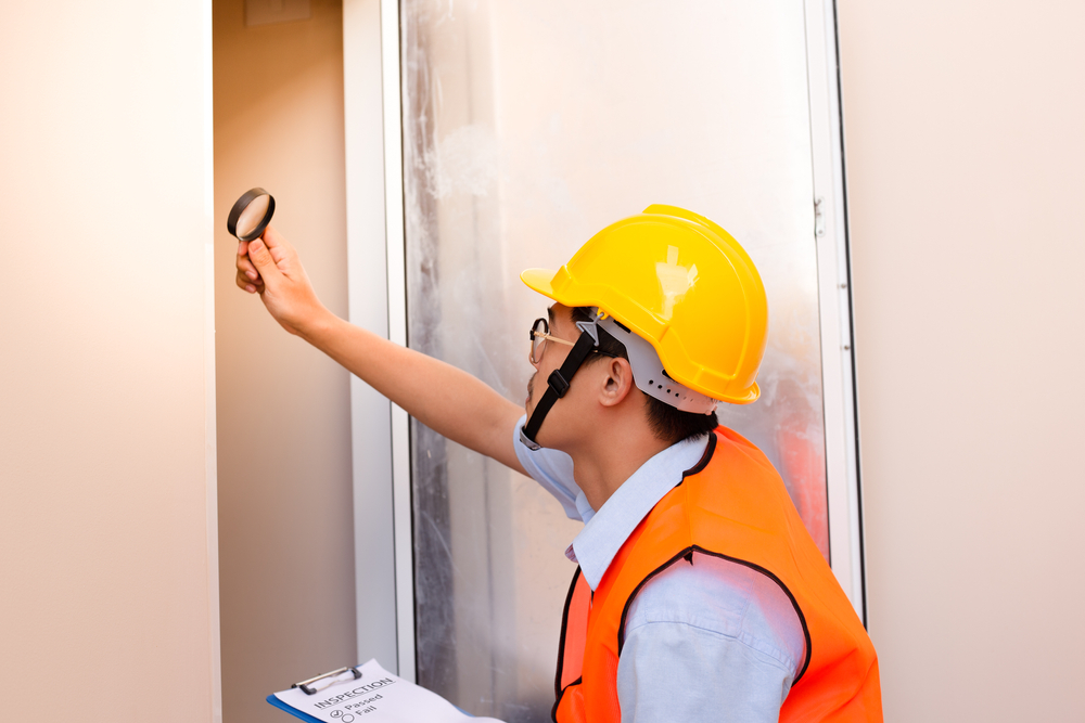 Understanding Building and Pest Inspections