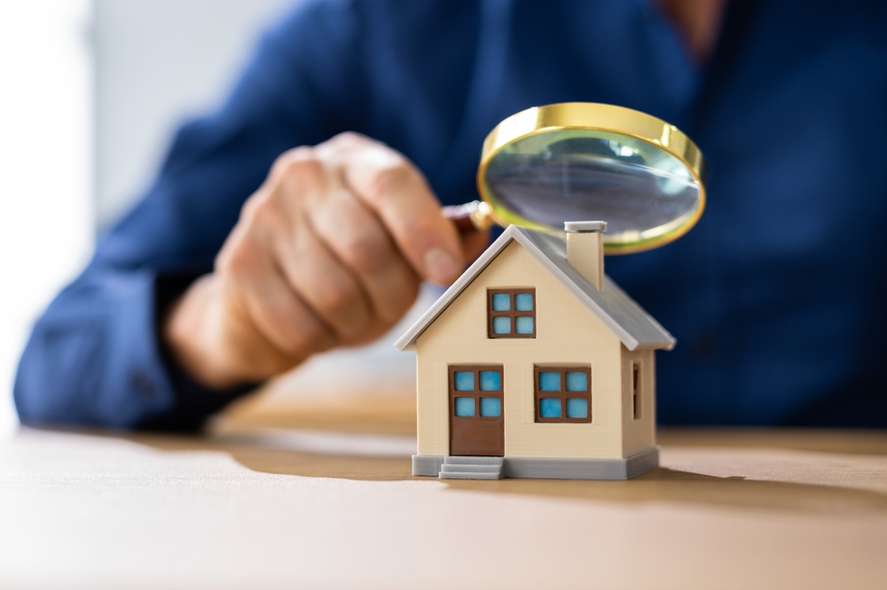 Vigilance in Visual Inspection: Key to Preventing Home Infestations