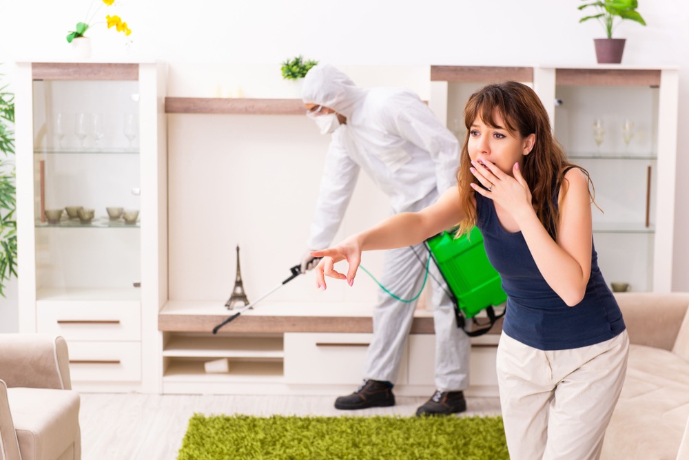Why Pest Inspections are Important