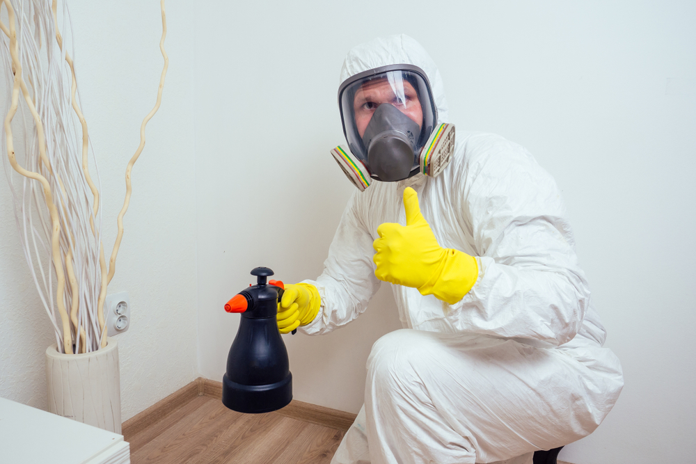 Importance of Regular Pest Inspections