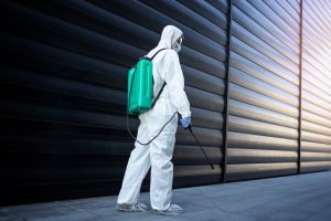 Integrated Pest Management: Safeguarding Your Home and Health