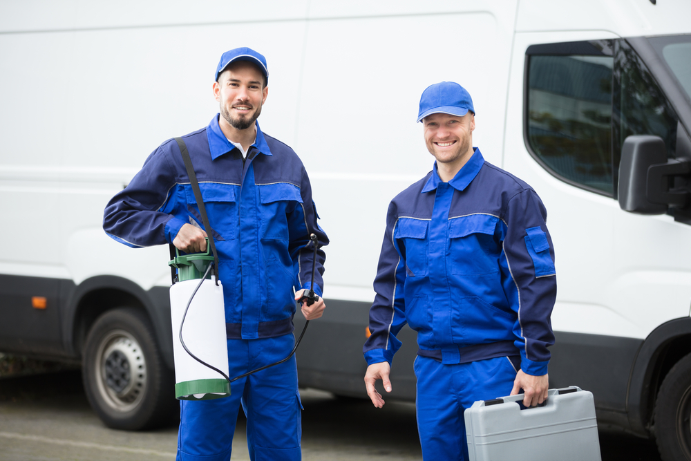 Keeping Pests at Bay: The Necessity of Follow-Up Pest Inspections