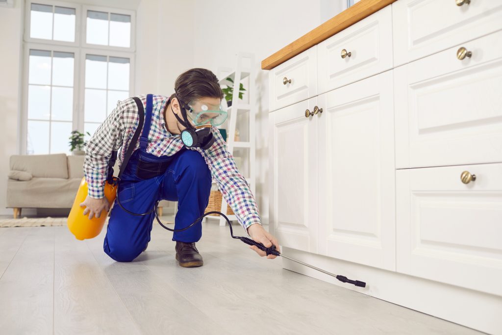 The Importance of Pest Management in Real Estate