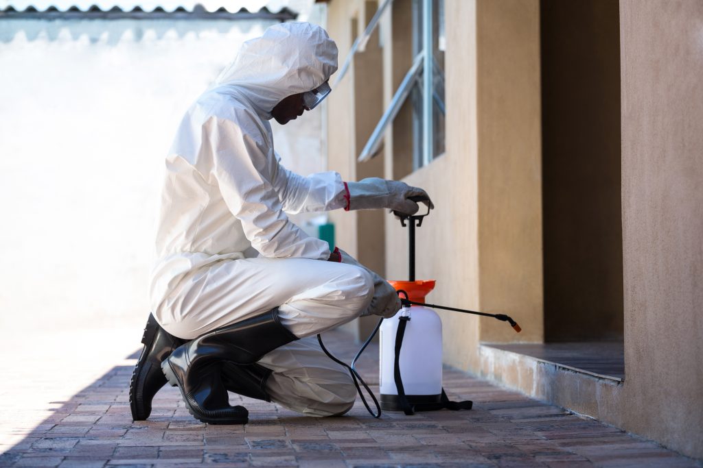 Understanding Integrated Pest Management (IPM)