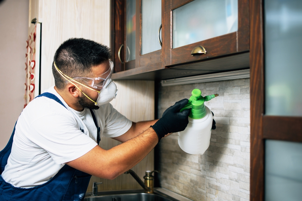 A man wearing mask and gloves while using a spray bottle